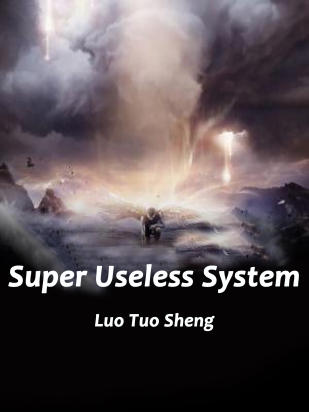 Super Useless System